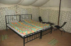 camping around mussoorie