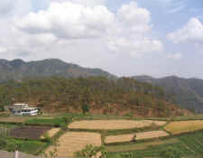 Dynasty View