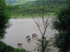 View from Infinity,Corbett