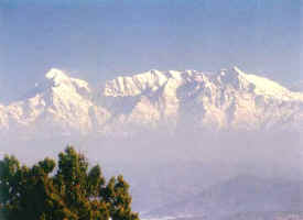 mountain view mukteshwar