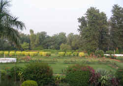 Pataudi palace Garden