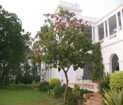 Pataudi Palace